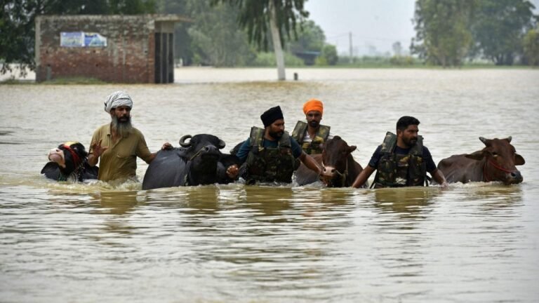 Punjab में भीषण बाढ़: कैसे आई, कितना नुकसान हुआ, और क्या हो सकता है आगे?